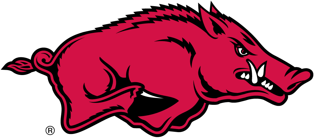 Arkansas Razorbacks decals